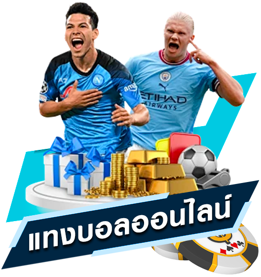 บริการ1
